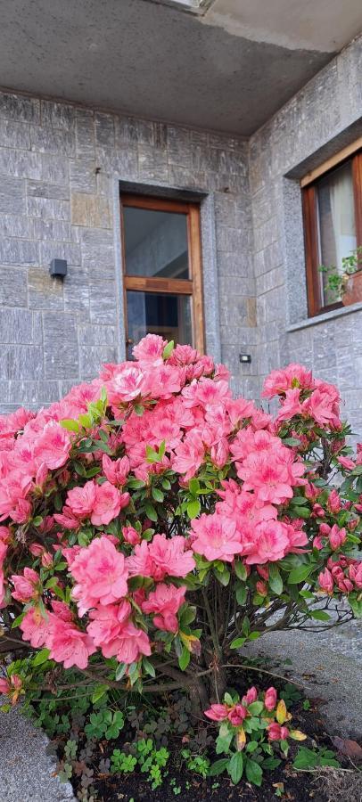 Villa La Serra Baveno Ngoại thất bức ảnh